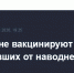 После паводков ветеринары проведут  вакцинацию скота - Голос Табасарана